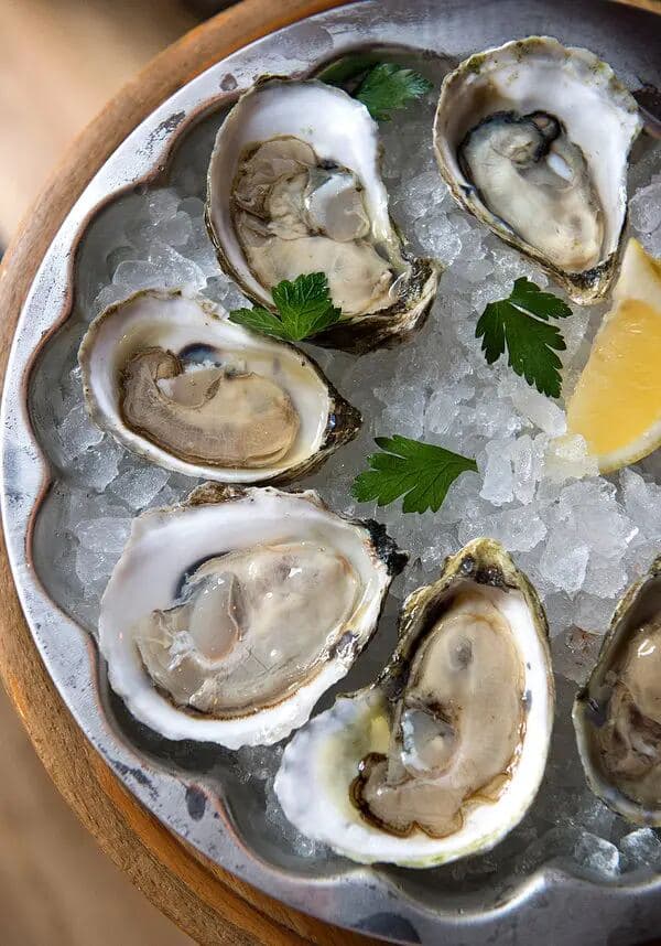 Fresh oysters served on ice